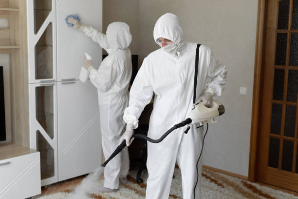 Trusted Sewage Cleanup service in Tabiona, UT - Four Month Blood Cleanse